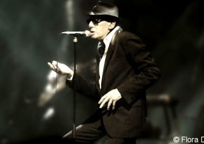 ALAIN BASHUNG au Nice Jazz Festival, 2008